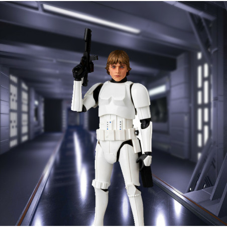 Luke Skywalker Stormtrooper Disguise