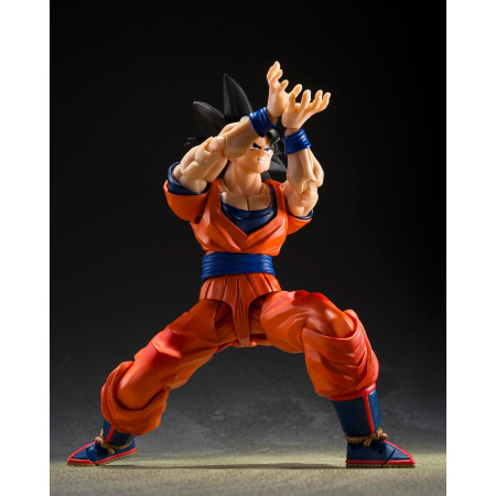 S.H.Figuarts Son Goku The Kind Hearted Saiyan