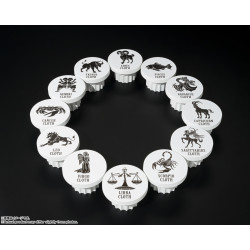 Saint Cloth Myth APPENDIX Golden Cloth Object complete set 20th Anniversary Ver.