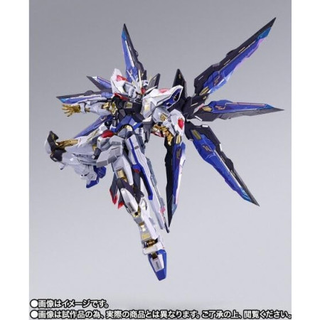 METAL BUILD FESTIVAL 2024 Strike Freedom Gundam Japan Figure