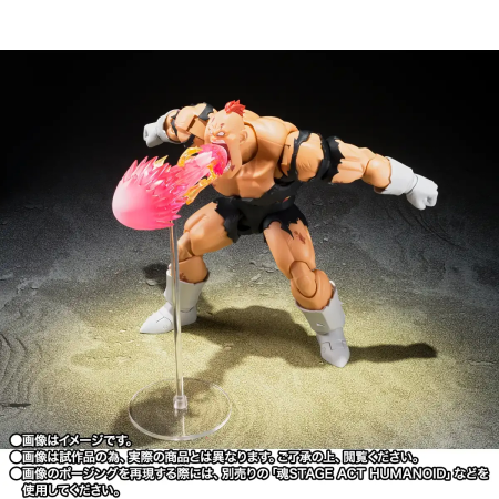 S.H.Figuarts RECOOME (THE NIGHTMARE RECOOME) Japan Figure