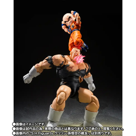 S.H.Figuarts RECOOME (THE NIGHTMARE RECOOME) Japan Figure