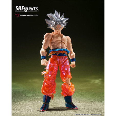 copia di copia di copia di copia di Saint Seiya Myth EX Andromeda Shun (God Cloth) Japan version TAMASHII NATIONS Bandai