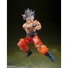 copia di copia di copia di copia di Saint Seiya Myth EX Andromeda Shun (God Cloth) Japan version TAMASHII NATIONS Bandai