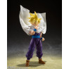 复制 复制 复制 复制 复制 Saint Seiya Myth EX Andromeda Shun (God Cloth) Japan version TAMASHII NATIONS Bandai