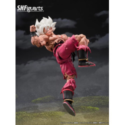 S.H.Figuarts SS Son Goku Legendary Super Saiyan Genkidamatsuri Edition Figure Japan