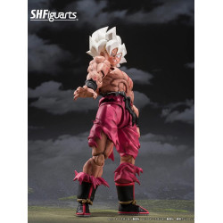 S.H.Figuarts SS Son Goku Legendary Super Saiyan Genkidamatsuri Edition Figure Japan
