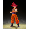 copia di copia di copia di copia di copia di Saint Seiya Myth EX Andromeda Shun (God Cloth) Japan version TAMASHII NATIONS Banda