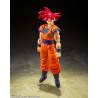 copia di copia di copia di copia di copia di Saint Seiya Myth EX Andromeda Shun (God Cloth) Japan version TAMASHII NATIONS Banda