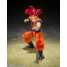 copia di copia di copia di copia di copia di Saint Seiya Myth EX Andromeda Shun (God Cloth) Japan version TAMASHII NATIONS Banda