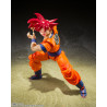 copia di copia di copia di copia di copia di Saint Seiya Myth EX Andromeda Shun (God Cloth) Japan version TAMASHII NATIONS Banda